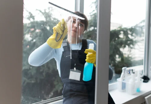 Nettoyage de vitres intérieures et extérieures à Rosey